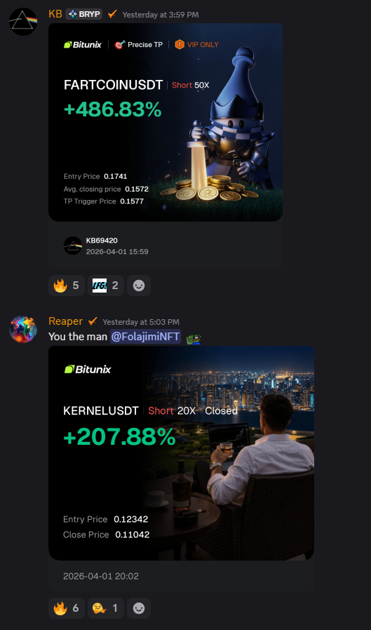 Brypto member PnL results screenshot